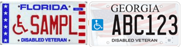 sample dv license plates
